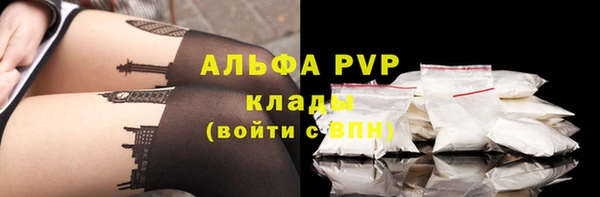 тгк Белокуриха