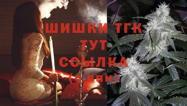 тгк Белокуриха