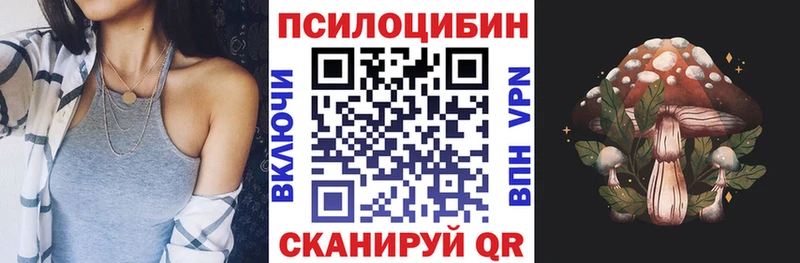 Псилоцибиновые грибы Psilocybe Шелехов